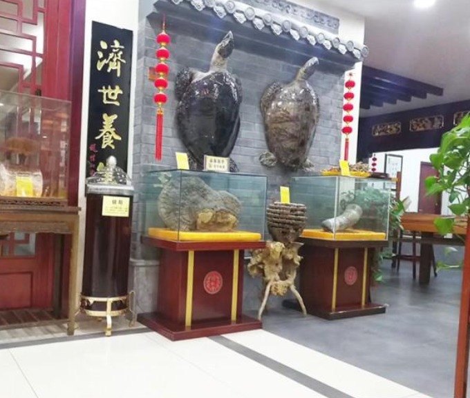 晉城名貴藥材展柜